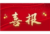 喜讯丨广州珠江电缆2款产品荣获“广东省名优高新技术产品”称号